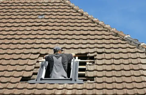 Pose de velux - Pléven